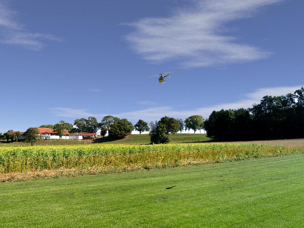 Farm field