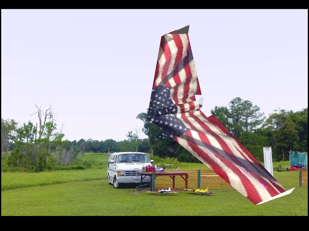 Zagi-Flag